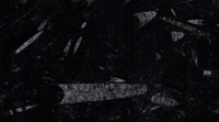 Fossil Black- Marbel, Limestone.